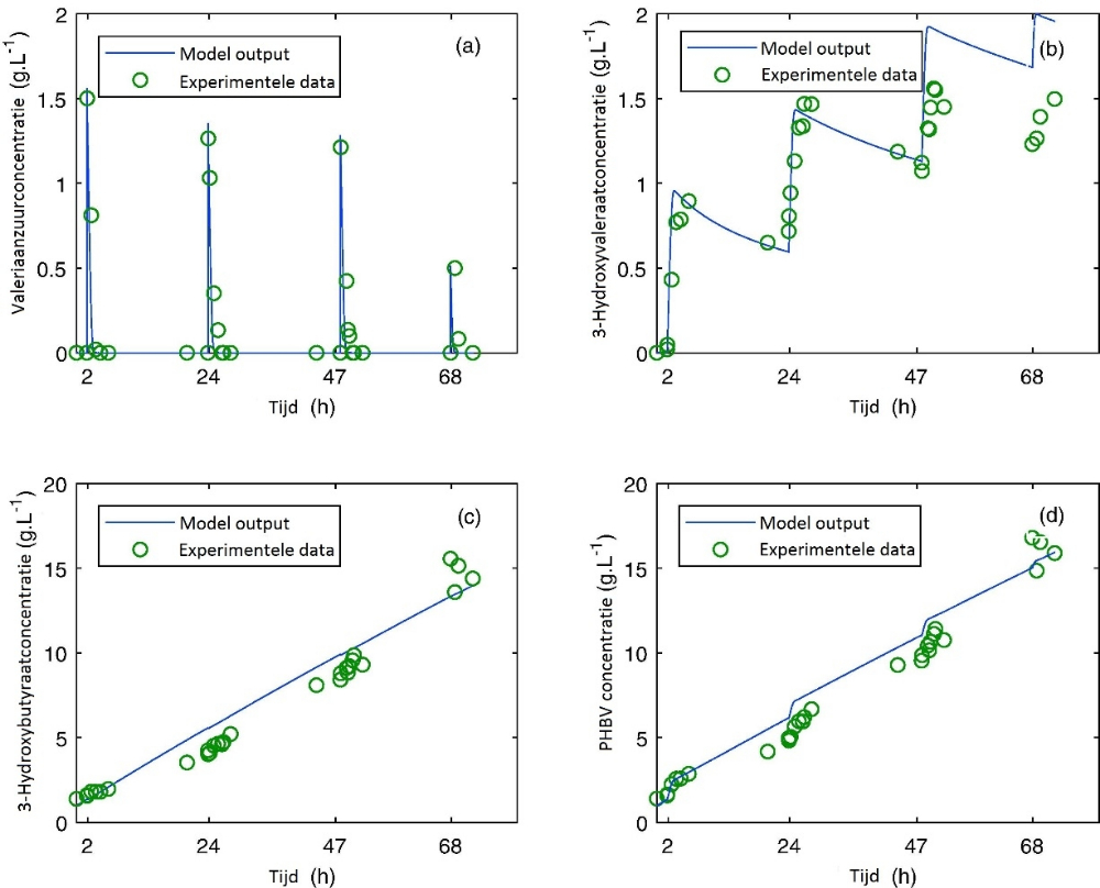 Figuur 8: vergelijking van experimentele resultaten met modelvoorspellingen tijdens fermentatie met dosering van valeriaanzuur. (a) verbruik van toegediend valeriaanzuur, (b) toename in hydroxyvaleriaanzuurconcentraties in de biomassa, (c) aangemaakte hoeveelheid hydroxybutyraat uit CO2, (d) totale hoeveelheid bioplastic (som van hydroxybutyraat en -valeraat)