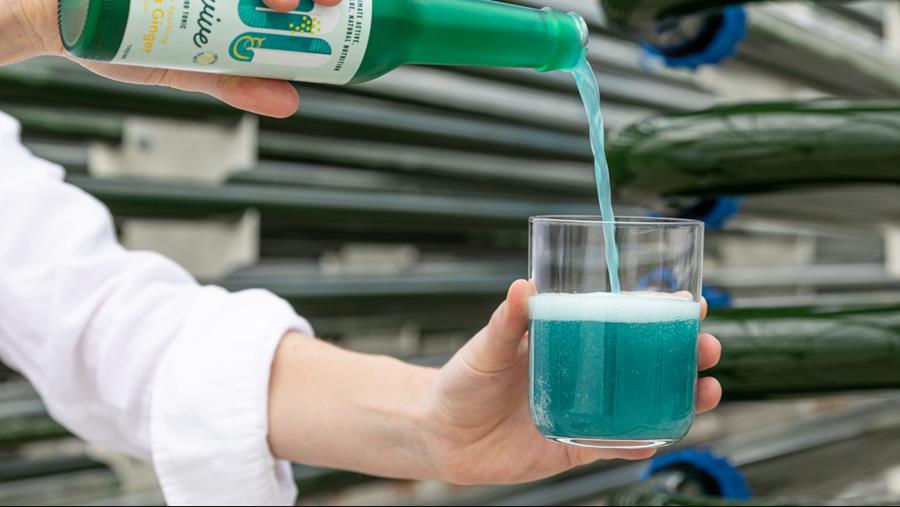 Zijn microalgen voedsel en drank van de toekomst?