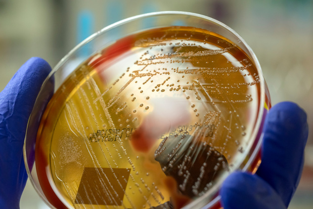 Streptokokken: Zorg en Gezondheid waarschuwt bevolking