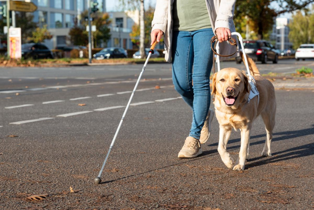 "Malvoyant mais pas invisible", la campagne pour changer le regard sur le handicap visuel
