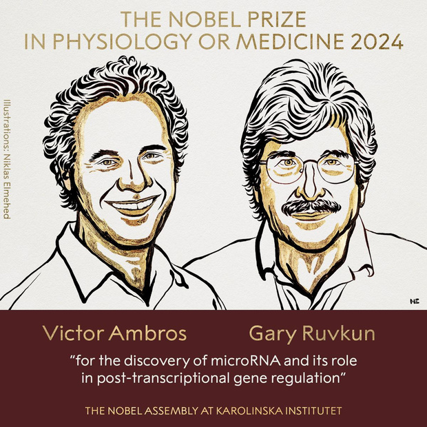 Deux généticiens américains remportent le Prix Nobel de médecine