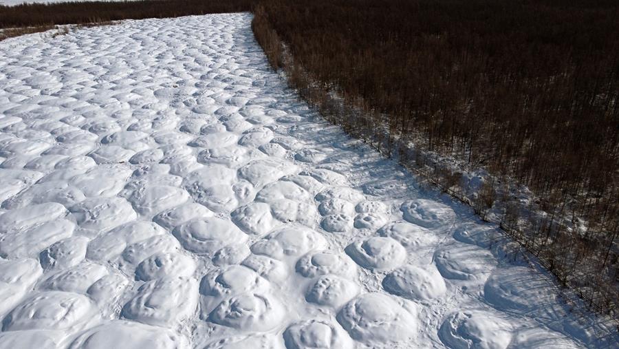 Climat : Un rapport alerte sur le risque posé par les microbes libérés par la fonte des glaces